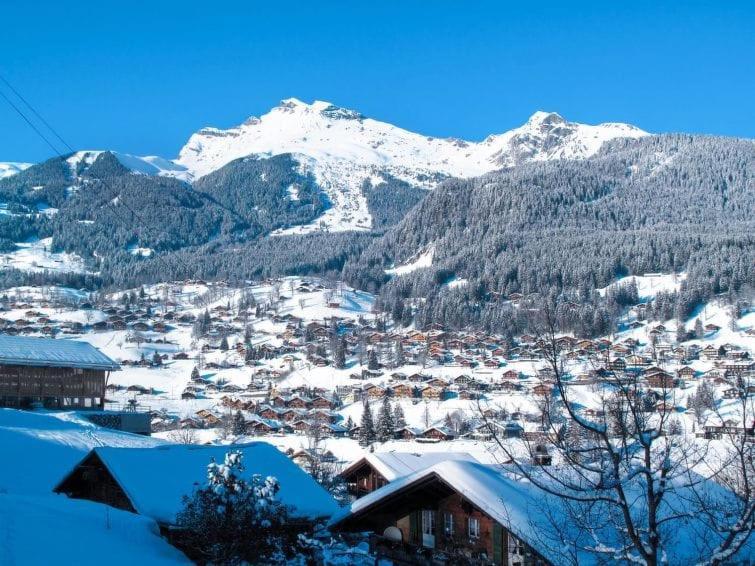 Апартаменты Chalet Aphrodite West Гриндельвальд Экстерьер фото